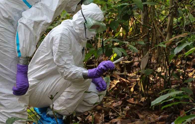 Testing for Ebola, Republic of Congo CREDIT: F. Monteau